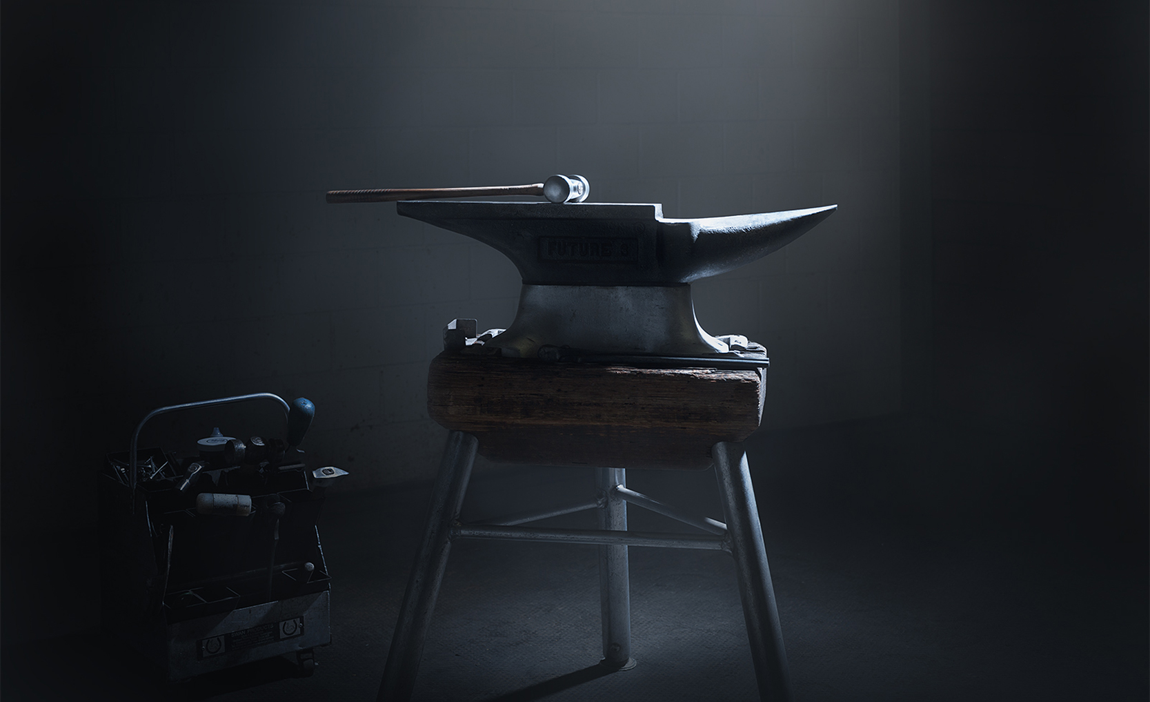 Editorial - Titelbild ehoof, Pferdesportmedizin