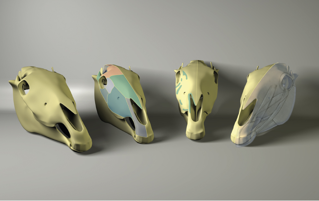 3D- Prints von Pferdeschädel